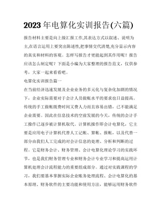 2023年电算化实训报告(六篇)
