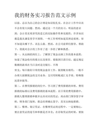 我的财务实习报告范文示例