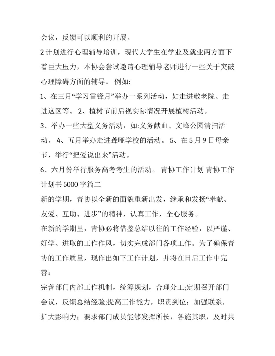 2023年青协工作计划 青协工作计划书5000字(五篇)_第3页