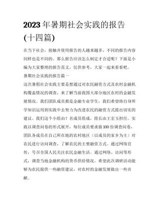 2023年暑期社会实践的报告(十四篇)