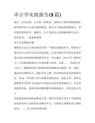 审计学实践报告(3篇)