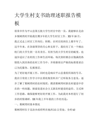 大学生村支书助理述职报告模板