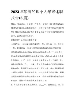 2023年销售经理个人年末述职报告(3篇)
