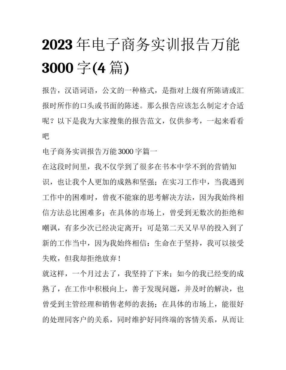 2023年电子商务实训报告万能3000字(4篇)_第1页