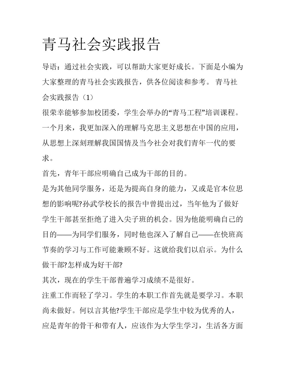 青马社会实践报告_第1页