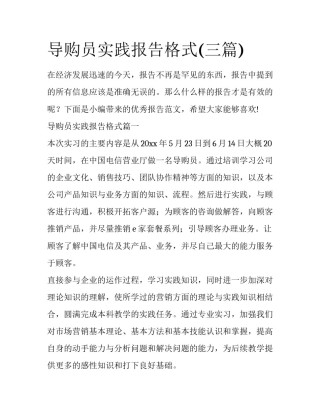 导购员实践报告格式(三篇)