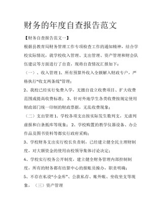 财务的年度自查报告范文
