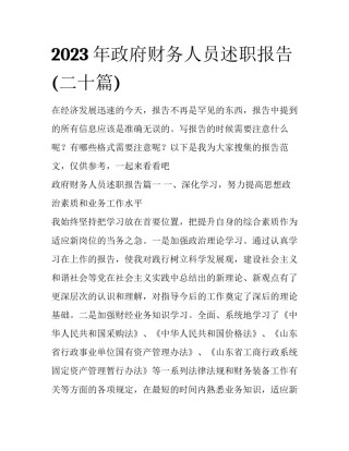 2023年政府财务人员述职报告(二十篇)