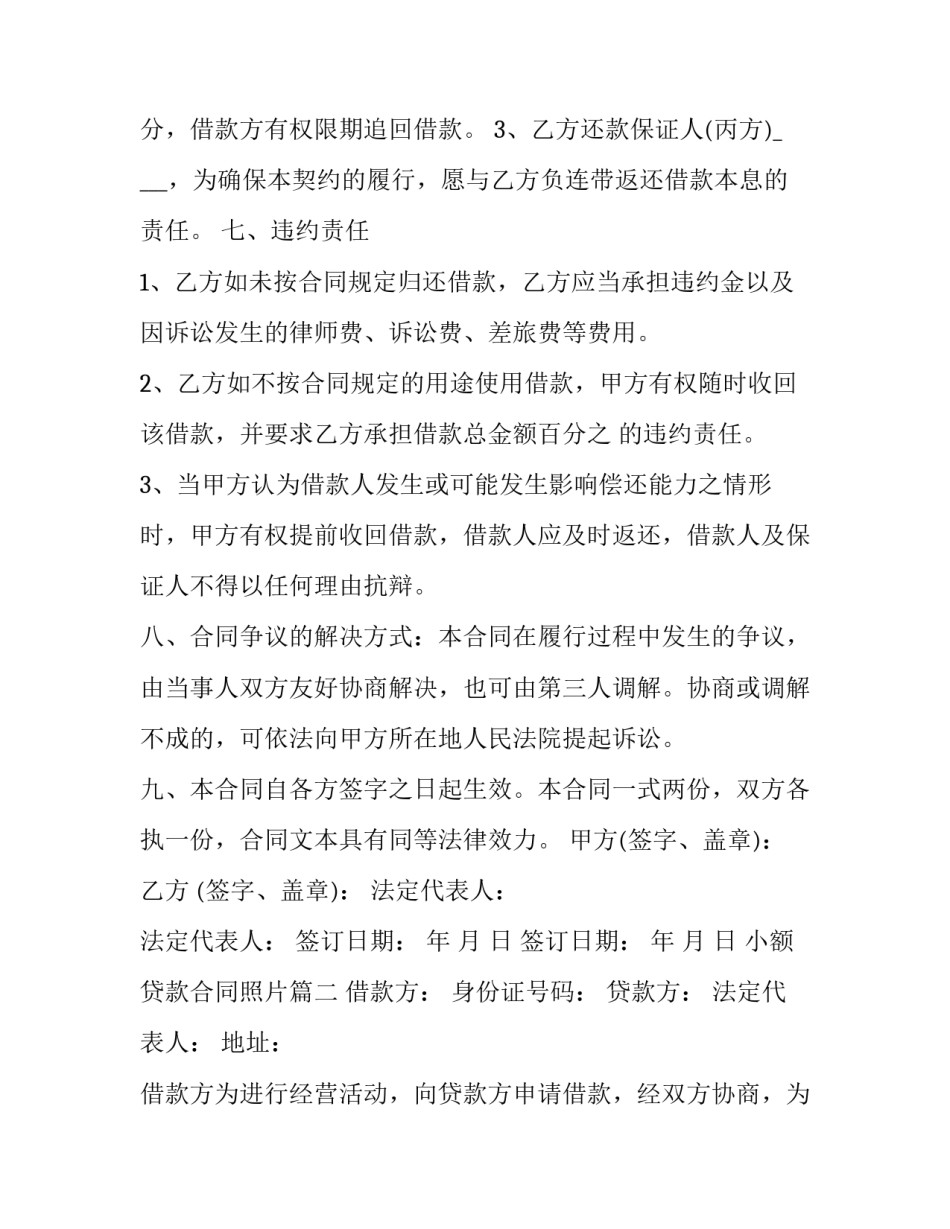 最新小额贷款合同照片(7篇)_第3页
