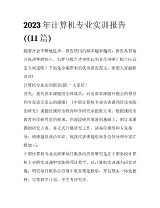 2023年计算机专业实训报告((11篇)