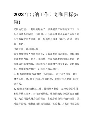 2023年出纳工作计划和目标(5篇)