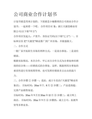 公司商业合作计划书