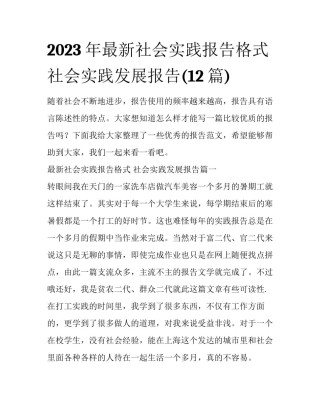 2023年最新社会实践报告格式 社会实践发展报告(12篇)