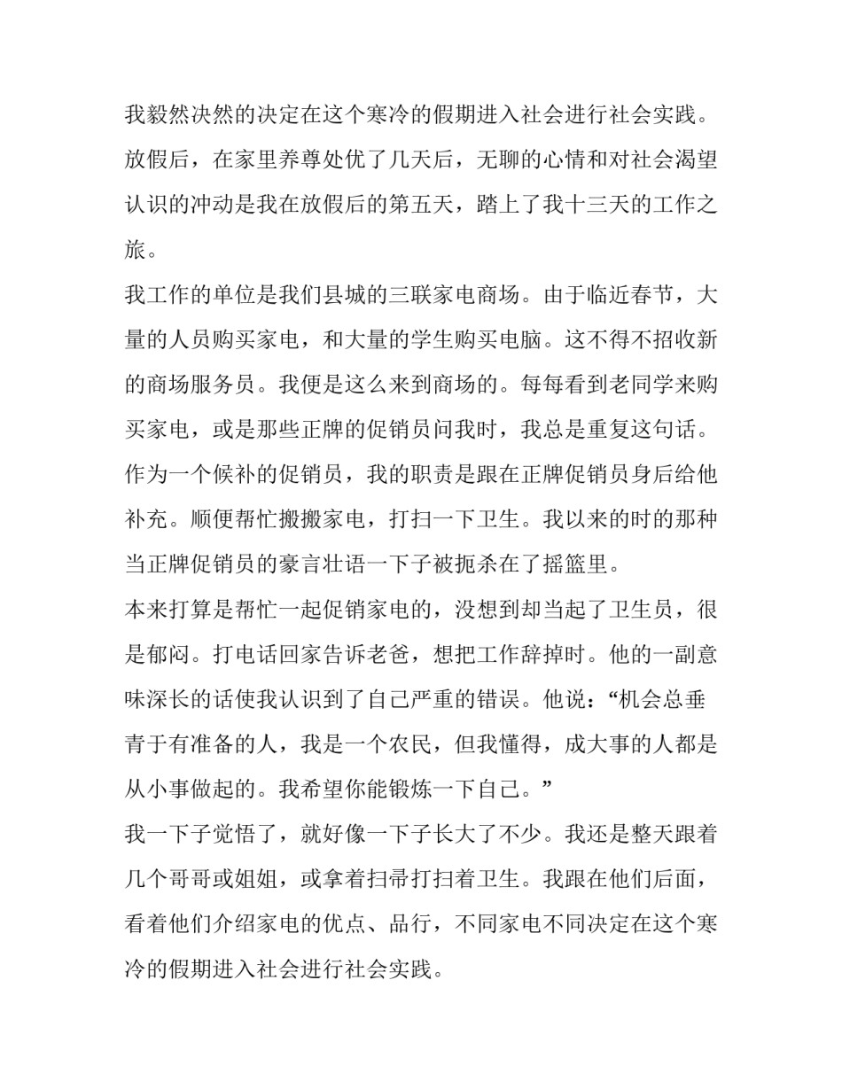 促销员实践报告(7篇)_第2页