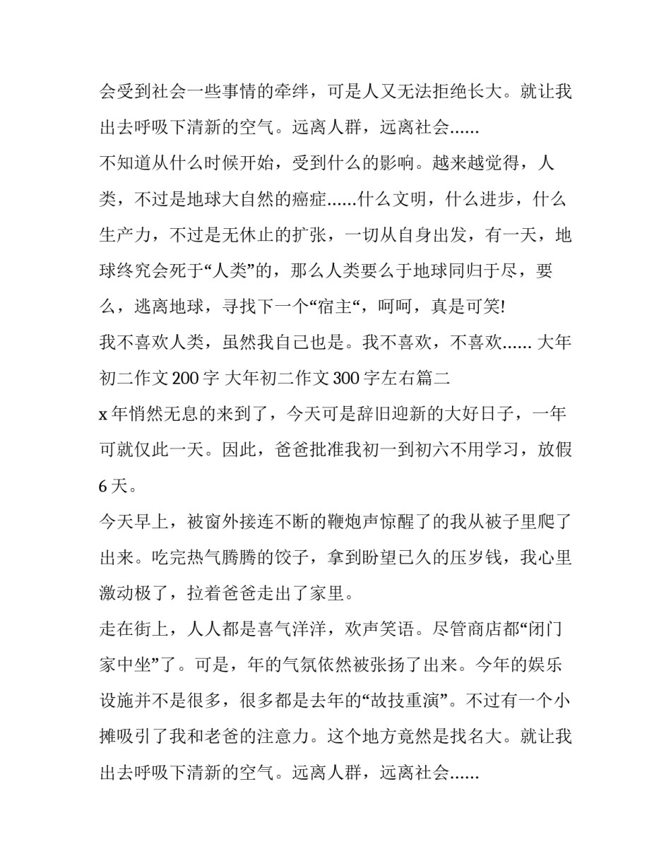 大年初二作文200字 大年初二作文300字左右(五篇)_第2页