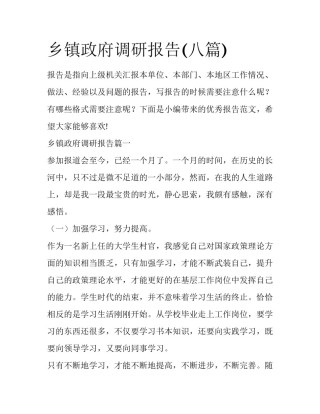 乡镇政府调研报告(八篇)