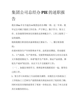 集团公司总经办PIE的述职报告