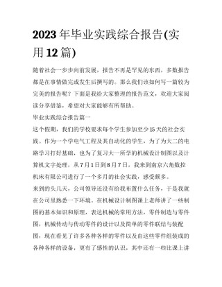 2023年毕业实践综合报告(实用12篇)