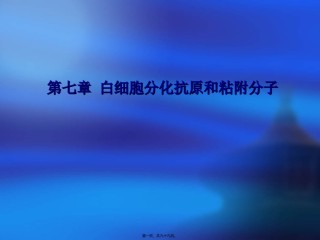 2022年医学专题—-白细胞分化抗原1.ppt