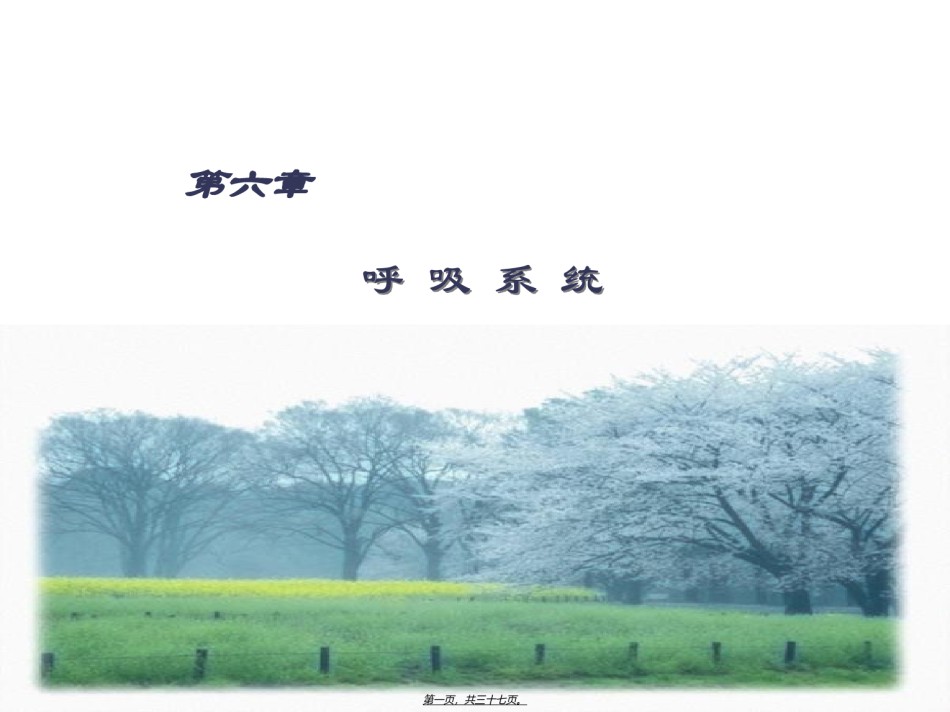 2022年医学专题—----呼吸系统.ppt_第1页