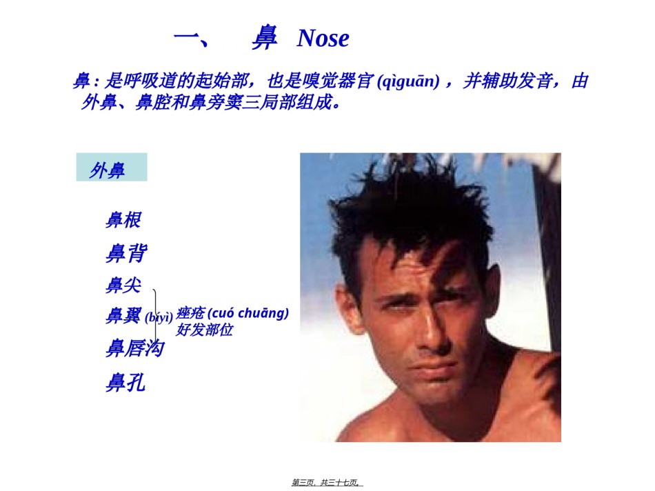 2022年医学专题—----呼吸系统.ppt_第3页