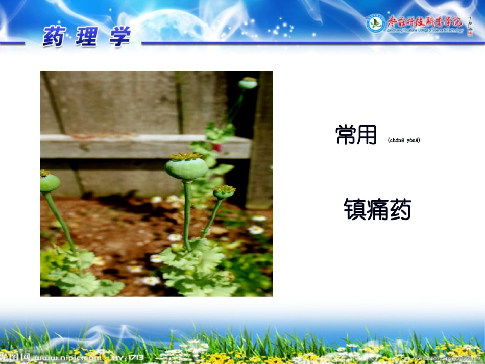 2022年医学专题—-3-常用镇痛药.ppt_第1页