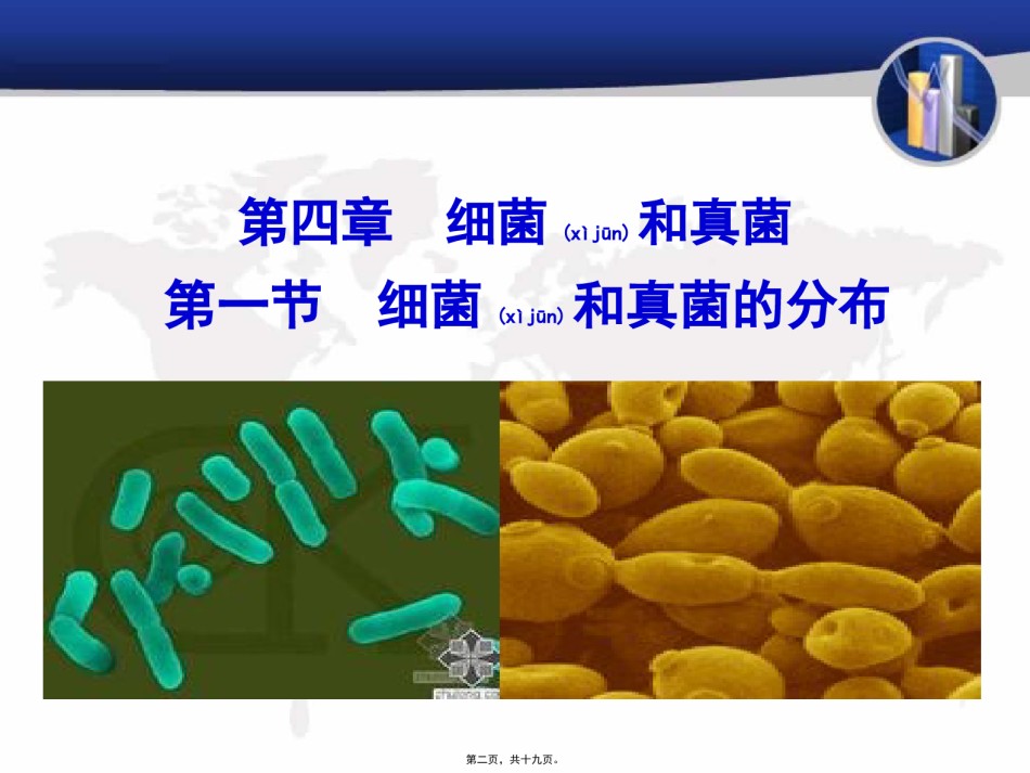 2022年医学专题—-4-1-细菌和真菌的分布.pptx_第1页