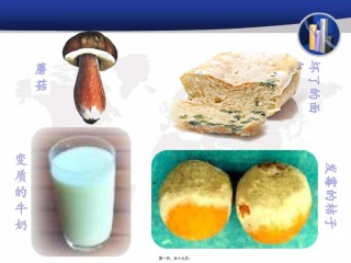 2022年医学专题—-4-1-细菌和真菌的分布.pptx