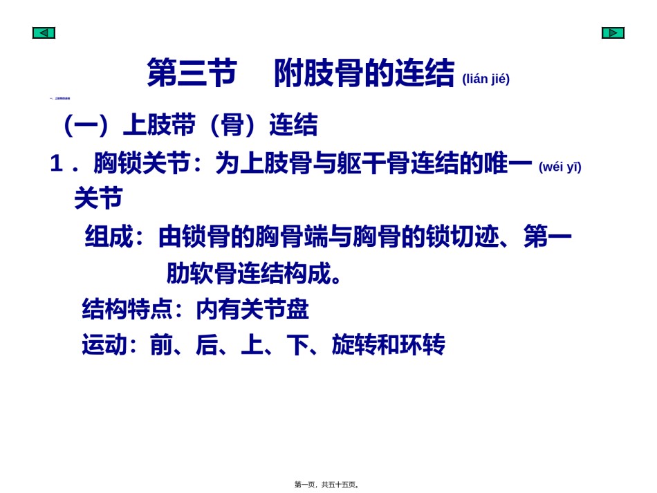 2022年医学专题—-4附肢骨连结.ppt_第1页
