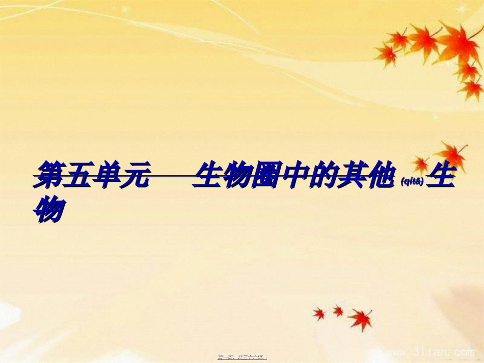 2022年医学专题—-1-1腔肠动物和扁形动物.ppt_第1页