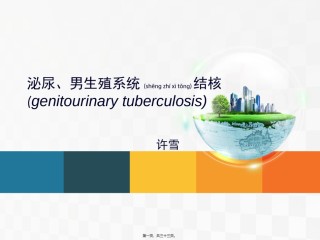 2022年医学专题—-31查房-泌尿系结核.ppt