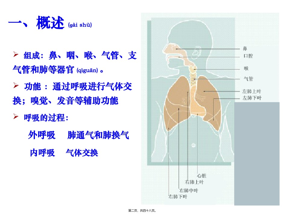 2022年医学专题—-1呼吸系统皮肤.pptx_第2页