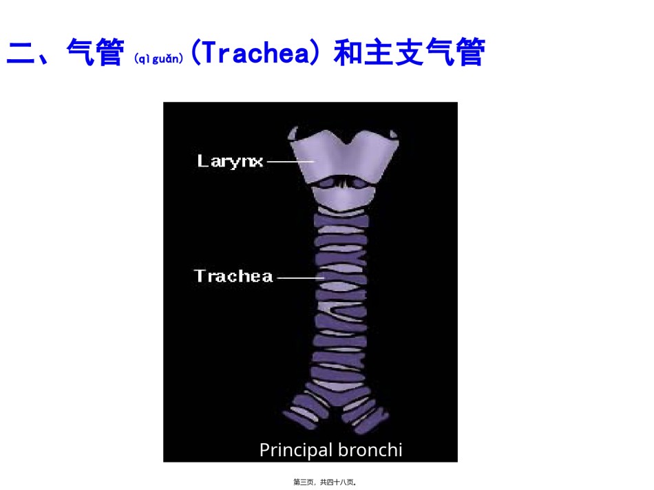 2022年医学专题—-1呼吸系统皮肤.pptx_第3页