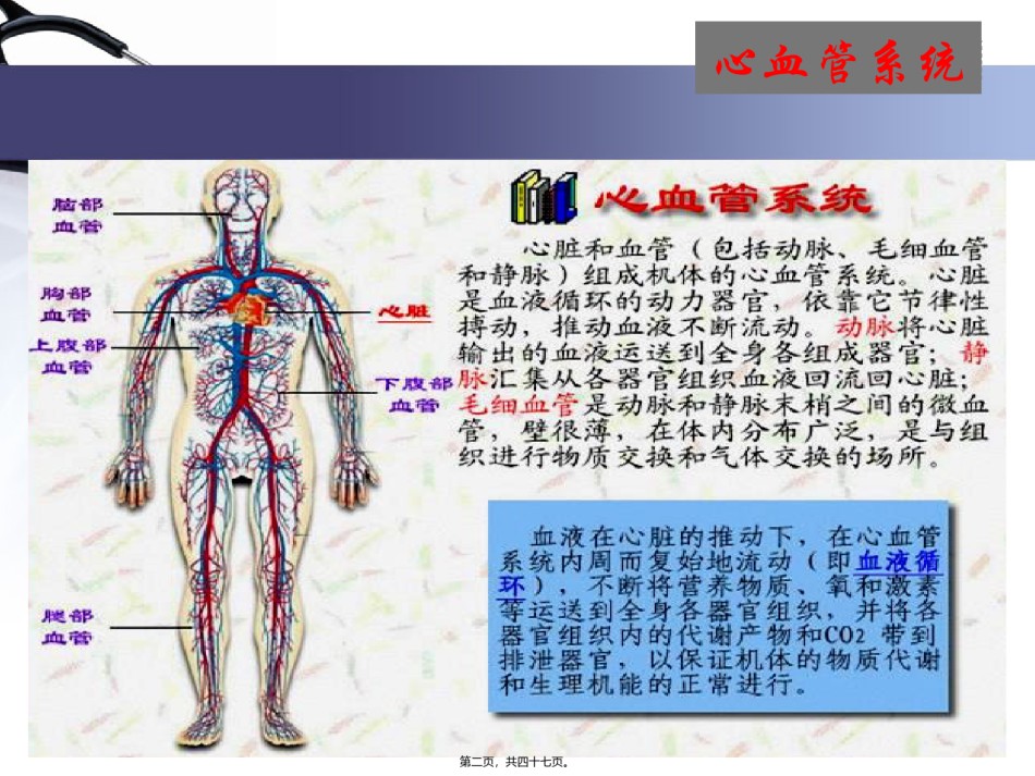 2022年医学专题—-1血液循环-心脏生理资料.ppt_第2页