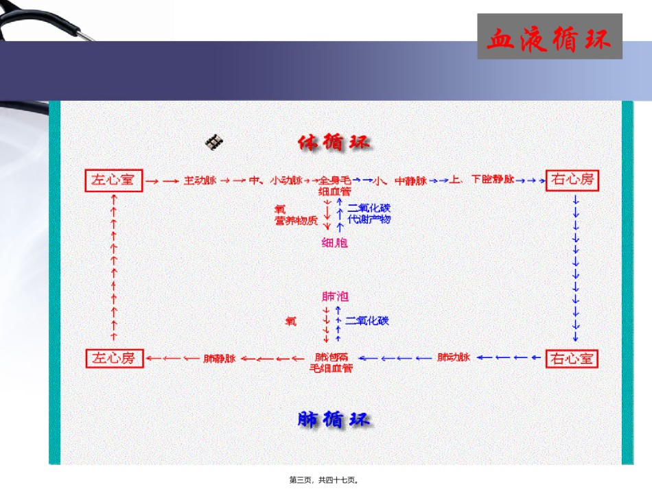 2022年医学专题—-1血液循环-心脏生理资料.ppt_第3页