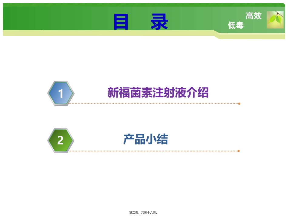 2022年医学专题—-20新福菌素放化疗.pptx_第2页