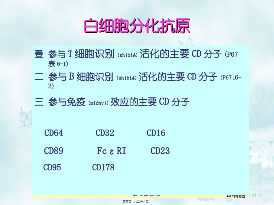 2022年医学专题—-白细胞分化和粘附分子.ppt_第3页