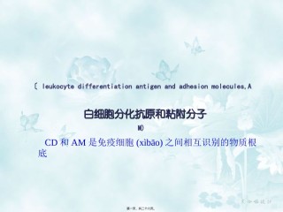 2022年医学专题—-白细胞分化和粘附分子.ppt