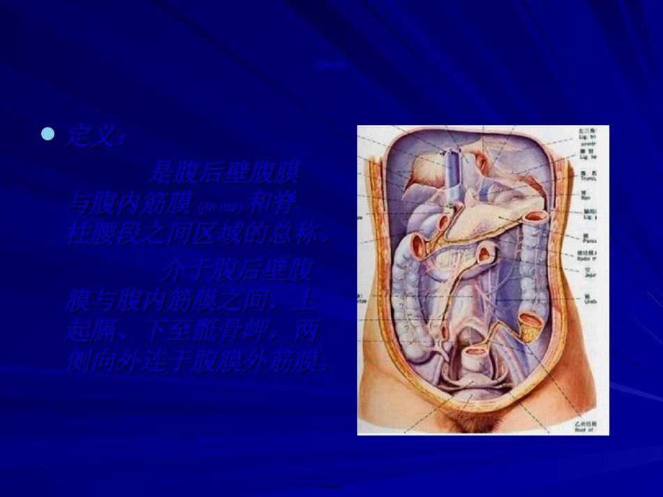 2022年医学专题—【201204】腹膜后间隙.ppt_第2页