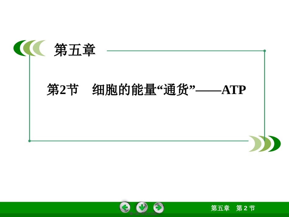 2022年医学专题—-2细胞的能量“通货”——ATP.ppt_第1页