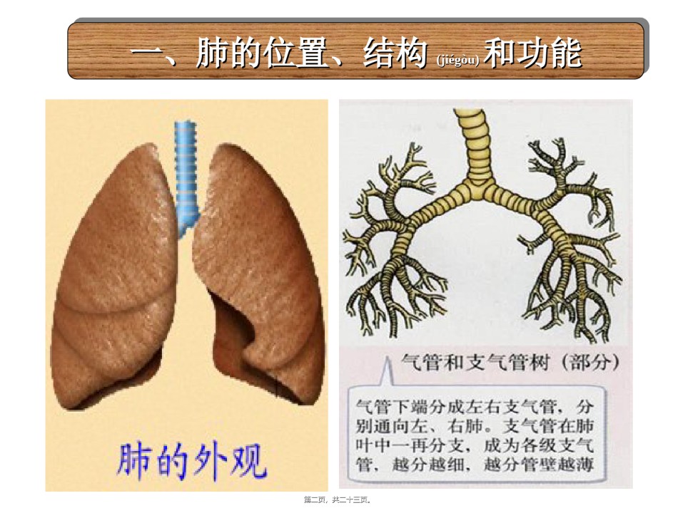 2022年医学专题—-3-2-发生在肺内的气体交换.ppt_第2页