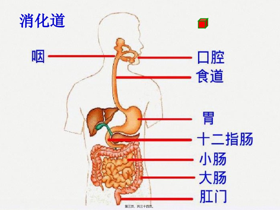 2022年医学专题—【复习】合理膳食平衡营养ppt.ppt_第3页