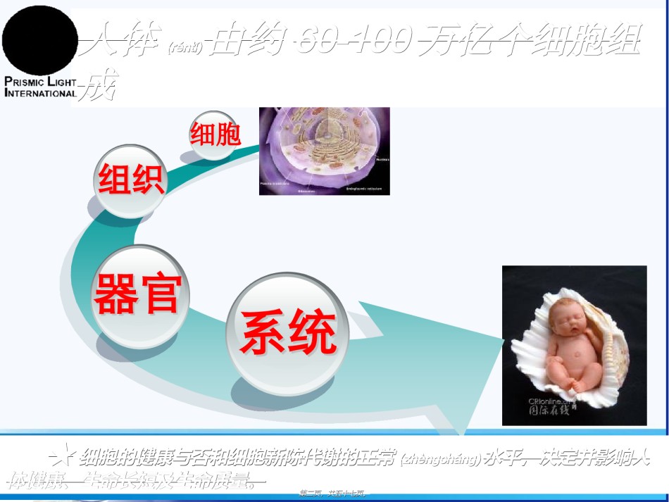 2022年医学专题—【顺势细胞食物六高版本】讲稿修订版.ppt_第2页