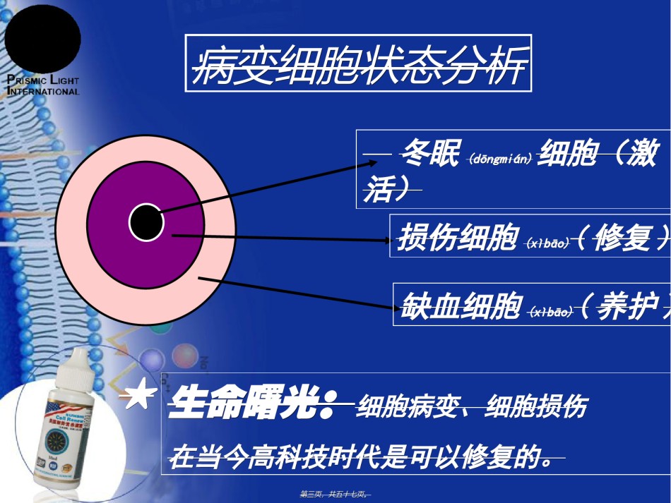 2022年医学专题—【顺势细胞食物六高版本】讲稿修订版.ppt_第3页