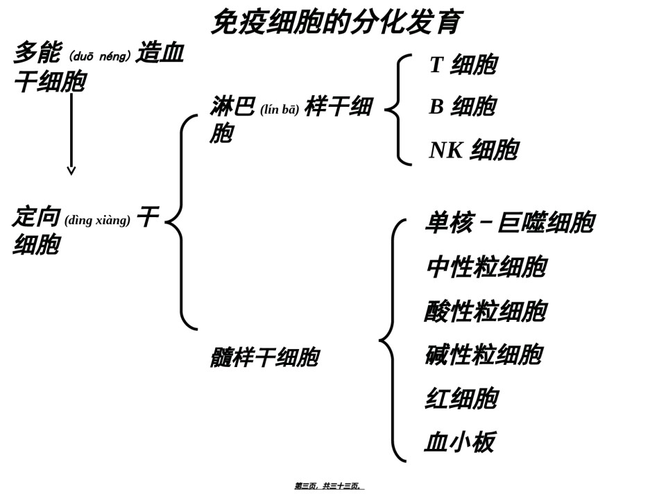 2022年医学专题—【免疫】2.T与B细胞.ppt_第3页