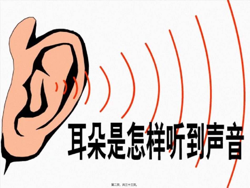 2022年医学专题—【新教材】2.3《耳和听觉》(正式上课用).ppt_第2页