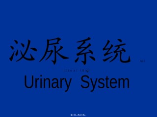 2022年医学专题—【组织胚胎学】泌尿系统.ppt