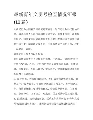 最新青年文明号检查情况汇报(11篇)