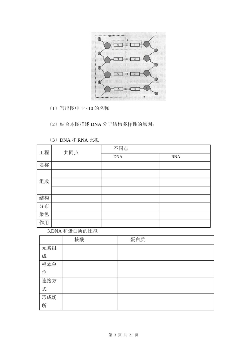 2022年医学专题—【赢在起点】2013一轮复习学案4-核酸、细胞中的糖类和脂质.docx_第3页
