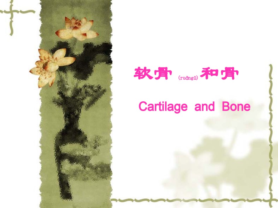 2022年医学专题—【组织学与胚胎学】软骨与骨.ppt_第1页